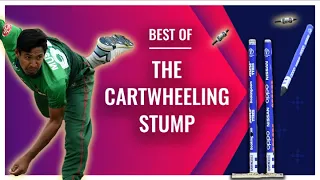 The sweet music of cartwheeling stumps | Bowlers Month