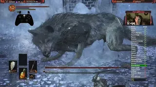 Dark Souls 3 - Champion's Gravetender and Gravetender Wolf Soul Level 1