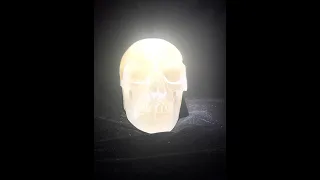 Crystal Skulls