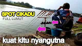 Sampai seperti ini sambaranya !!! Mancing Saguling Eps.292