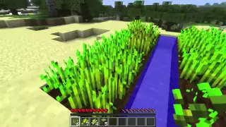 What is...? Minecraft, part 1