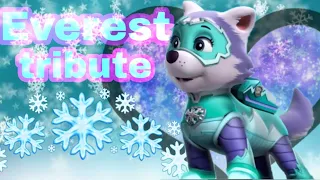 Paw patrol Everest tribute