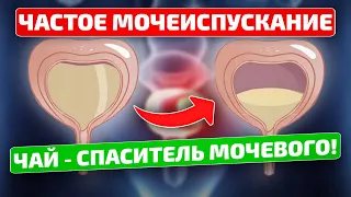 Теперь даже по ночам в туалет не бегаю! И хронические воспаления всей мочевой системы сняла!