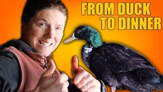 How to Process a Dead Duck