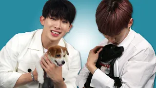 Monsta X brinca com cachorrinhos enquanto responde a perguntas do Monbebe (Legendado em Português)