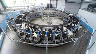 Expanding dairy farm to 600 cows with new 54 Point Rotary