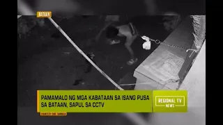 Regional TV News: Huli-Cam ang pamamalo ng mga kabataan sa isang pusa