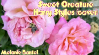 Sweet Creature - Harry Styles cover