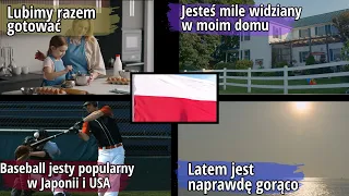 +500 Simple Polish Sentences with Comprehensible Input