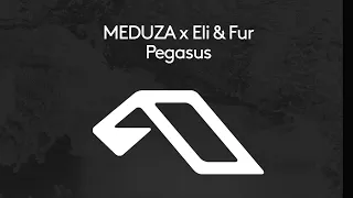 MEDUZA x Eli & Fur - Pegasus (FLEIV Extended Remix)