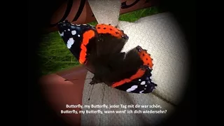Danyel Gérard - Butterfly 1971 (Lyrics)