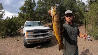 Exploring HIDDEN Mountain Lakes For BIG Trout! - Catch, Cook, Camp