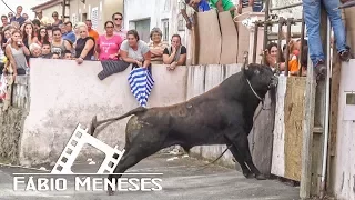 AMOREIRAS 2017-Ganadaria HF | 16 de Setembro | TERCEIRA-AÇORES