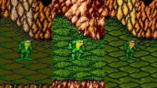 Battletoads - Versions Comparison (HD)