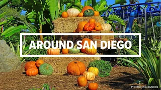 Around San Diego | October 7
