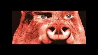 Pink Floyd - Animals, Pigs