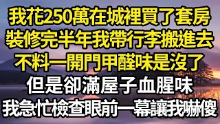 我花250萬在城裡買了套房，裝修完半年我帶行李搬進去，不料一開門甲醛味是沒了，但是卻滿屋子血腥味，我急忙檢查眼前一幕讓我嚇傻 #故事#情感#情感故事#人生#人生經驗#人生故事#生活哲學#為人哲學