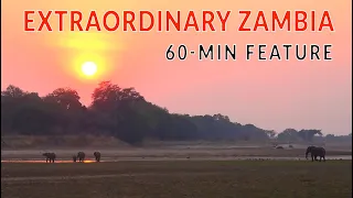 ZAMBIA WILDLIFE OVERLAND. Full-length self-drive expedition @4xoverland