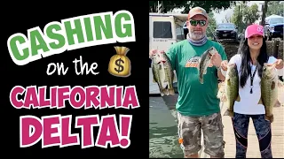 STACY'S TOURNAMENT ON THE CALIFORNIA DELTA 🏆 - Bass Fishing 🎣 with Chatterbaits & Punching Rigs 🐟