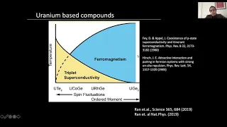 Atomic-scale quantum materials colloquium, February 15th 2021, Vidya Madhavan (U. Illinois, US)