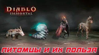 Diablo Immortal - В игре появились питомцы Фамильяры. Их польза и функции