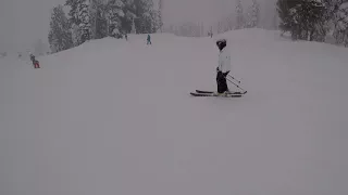 Stevens Pass - Daisy (green)