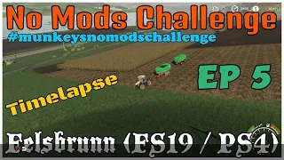 *Felsbrunn / Timelapse / No Mods Challenge / Ep 5 / FS19 / PS4 / RustyMoney