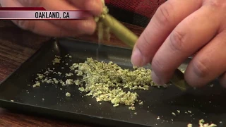 Pinay chef eyes opportunity to cash in on CA recreational pot industry