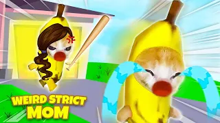 Banana Cat RAN AWAY From His STRICT MOM! 🐱 Baby Banana Cat Compilation | Happy Cat Crying MEME 😿