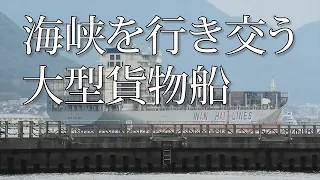 関門海峡を行き交う大型貨物船　舞うカモメ。