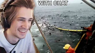 xQc react to Daily Dose Of Internet - Sea Lions Break Into Net And Eat All The Fish