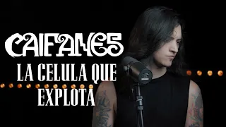 La Celula Que Explota - (Caifanes) cover by Juan Carlos Cano
