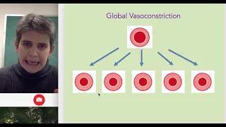 Vasoconstriction and Vasodilation