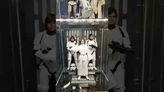 Some of my Hot Toys Star Wars: A New Hope figures in the collection!