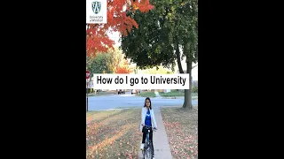 How I go to the University of Windsor Campus