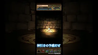 パズドラ実況 転スラコラボガチャを引いてみた第二弾 まさかのあの人気〇〇なキャラゲットか 神引きに大成功 #パズドラ #パズドラガチャ #shorts #short #ショート