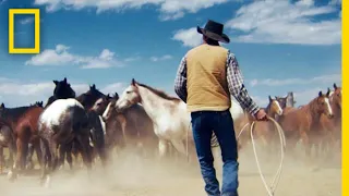 Wrangling Wild Horses in the Mountains of Montana | Short Film Showcase