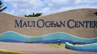 The Maui Ocean Center | Cinematic Tour | July 2021