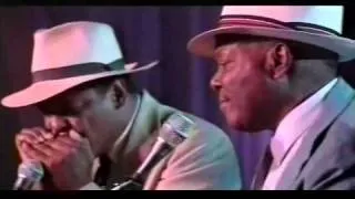 John Cephas and Phil Wiggins - Baby, What You Want Me To Do, Walking Blues (1999).mp4