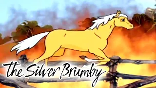 The Silver Brumby | Long Hot Summer | Full Episode | Cartoons For Kids | Cartoons For Children
