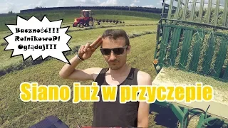 Pierwsze Siano u Stacha na przyczepie, Sianokosy idą pełną parą # RolnikowoPL