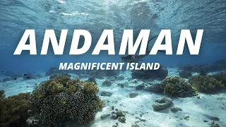 Trip to Andaman Island | Teaser