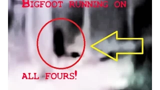 Bigfoot running on all fours!