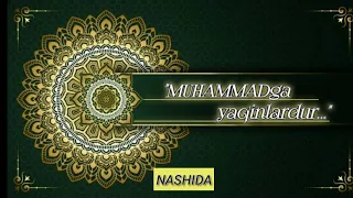 Mavliddagi ajoyib NASHIDA | "MUHAMMADGA yaqinlardur..." |МУХАММАДГА ЯКИНЛАРДУР..."