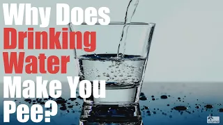 Why Does Drinking Water Make You Pee (Know The Facts)