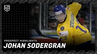 Johan Sodergran Highlights from 2018-19 Season | LA Kings Prospects