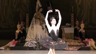 15/03/20 Oxana Skorik Germain Louvet Swan Lake variations coda Act II