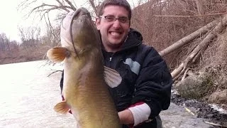 Boatless Angler - 30lb+ Huge Shore Channel Catfish!