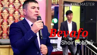 Shoir Boboev - Bevafo  New2020 | Шоир Бобоев - Бевафо