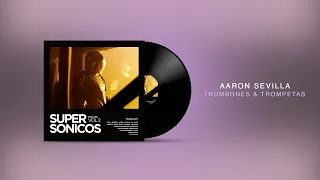 Aaron Sevilla - Trombones & Trompetas / Afro House